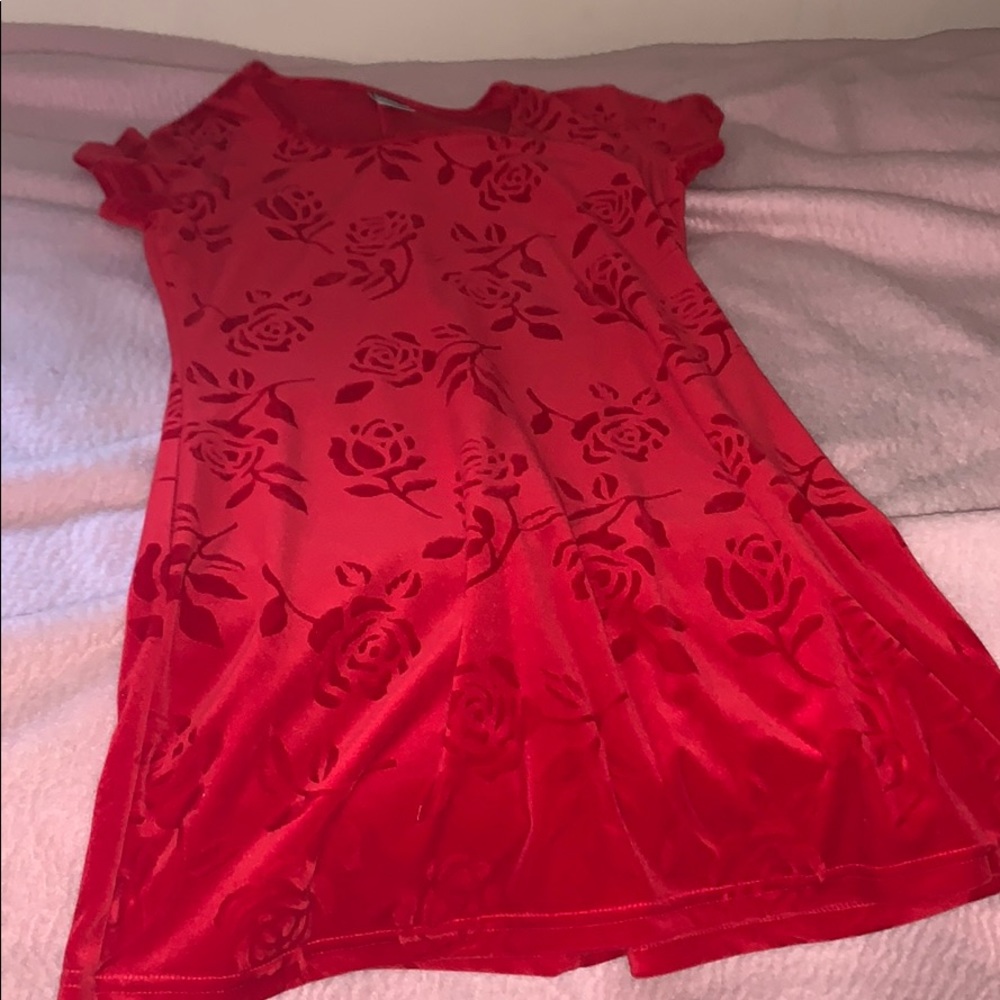 beautiful large red velvety dress